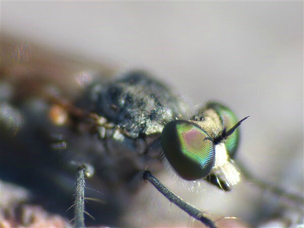 P1130119