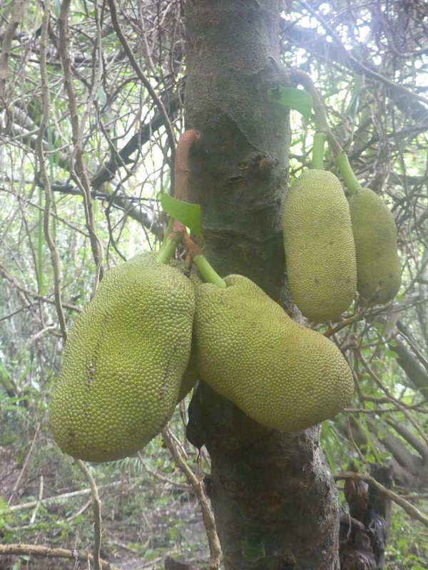 P1250157