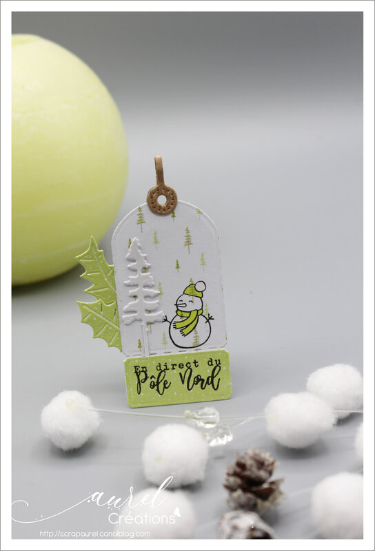 020120 - Super invitation à créer Noël 4 enscrap #6