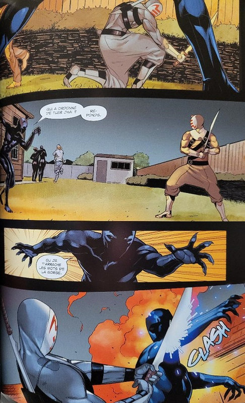 100% marvel black panther 2022 01 des ombres au tableau
