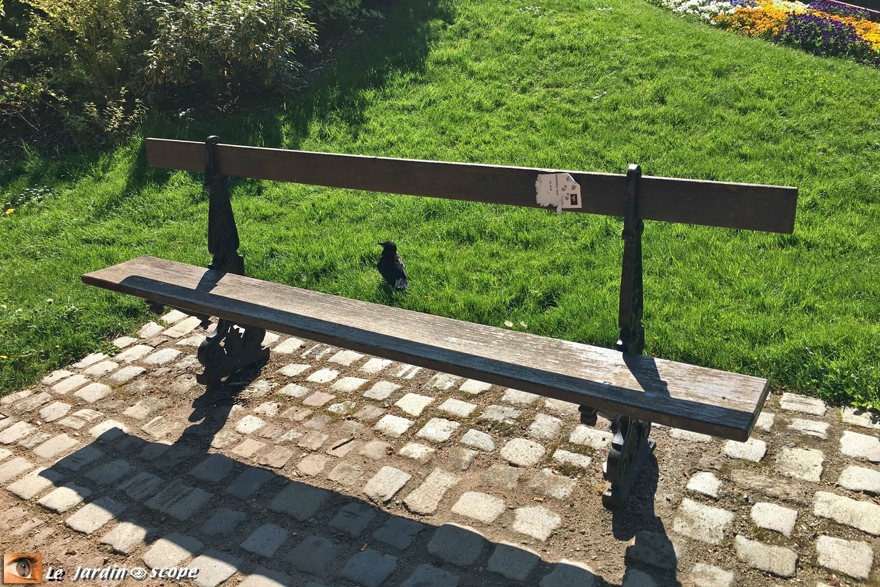 Le Banc de la Pépinière et le jeune corbeau à Nancy