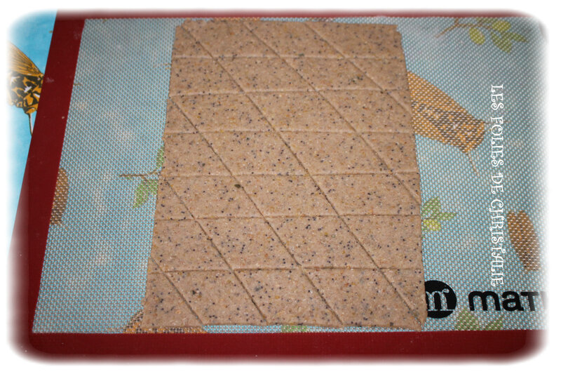 Crackers fromage 5