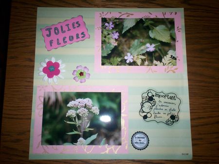 jolies_fleurs_002