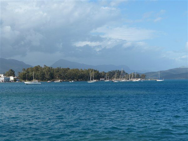 P1000488