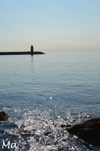 140306_napoule11
