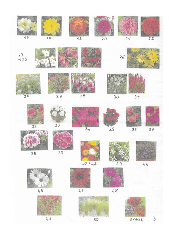 vente de fleur_page-0007