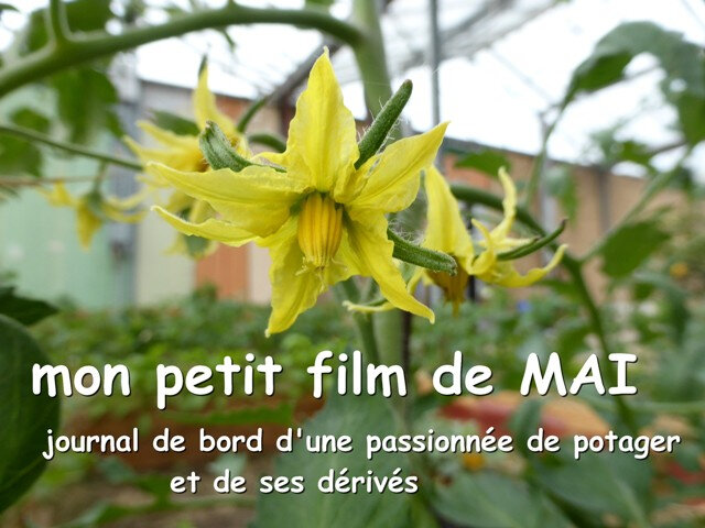 mon petit film de mai-red