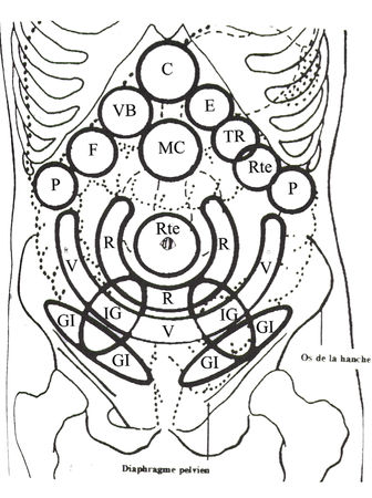 massage_du_ventre_Illustration_2