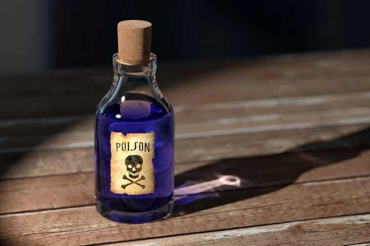 poisonmoderna