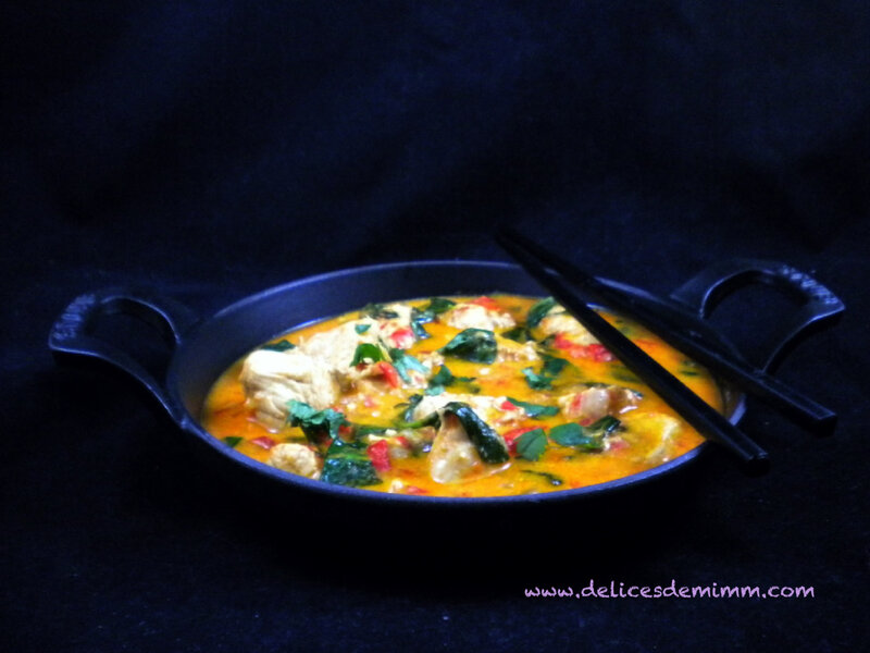 Poulet au curry thaï 2