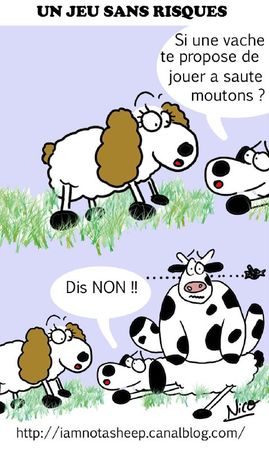 saute mouton_modifié-1