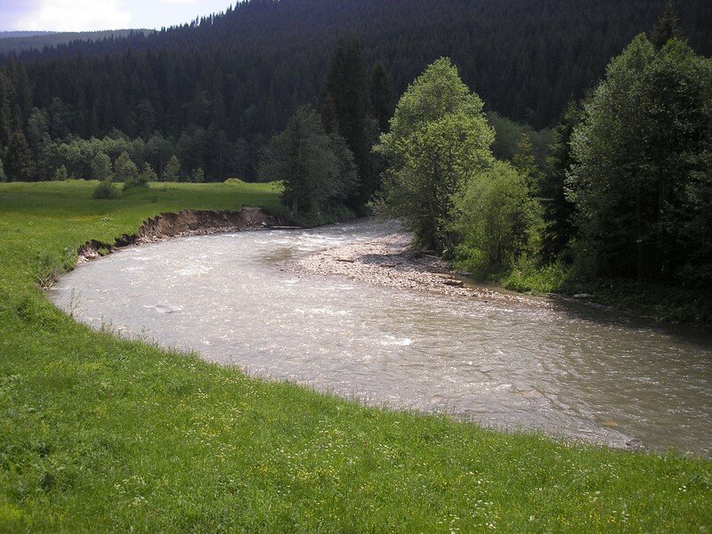 Bucovina