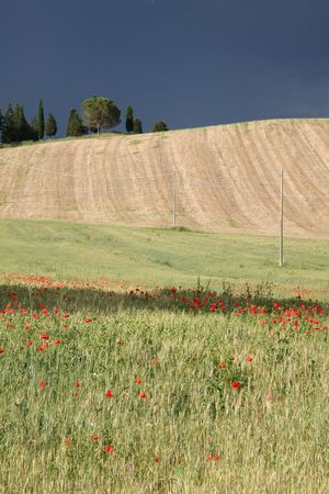 Toscane Juin 2013 - 06