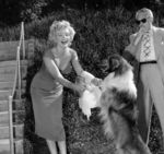 1952_08_03_RAP_13_lassie_010_1