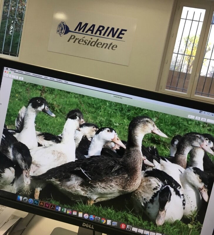 290 INSTANTANE DE MARINE LE PEN