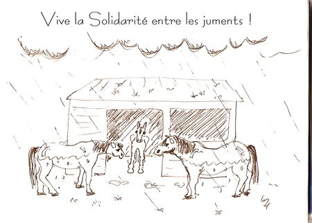 solidarjument