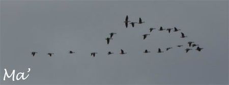 formation_120227