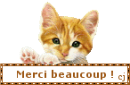 chat_merci_2