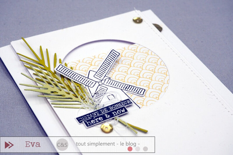 06 29_CS_carte (2)