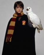 _Harry_Potter_Hedwige