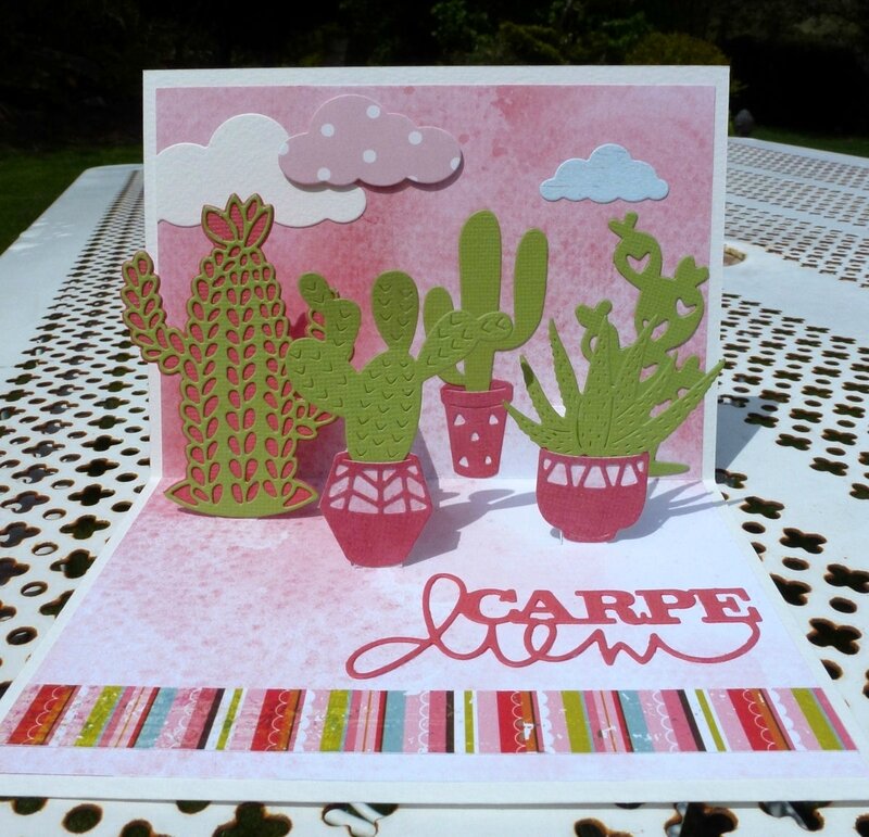 Pop-up-cactus2