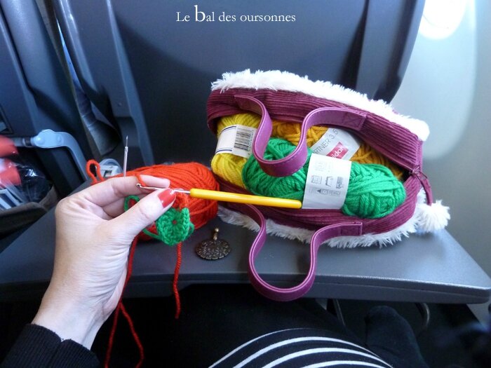 81 Douane Portique Aéroport Crochet Laine CAL