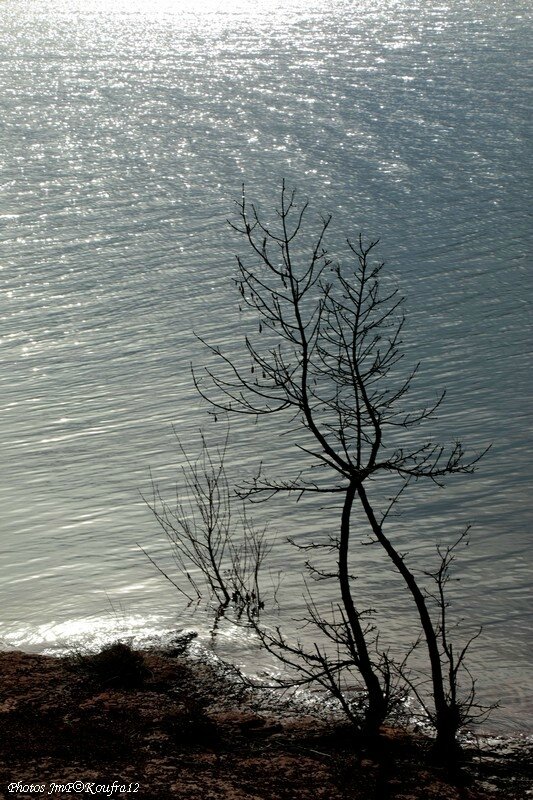 Photos JMP©Koufra 12 - Lac Salagou - 11032018 - 066