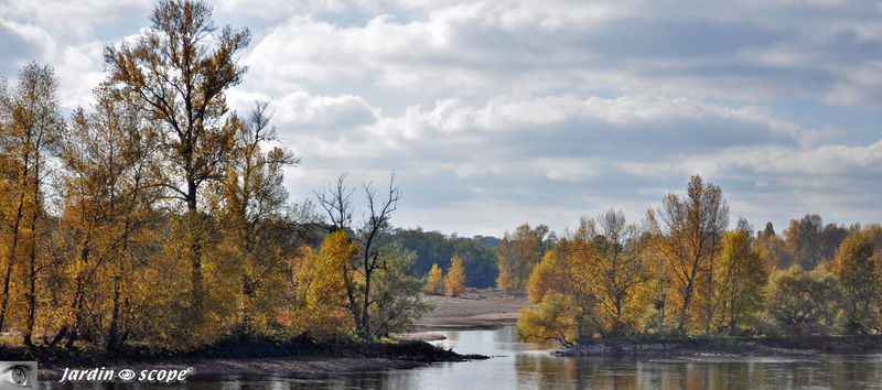 La Loire, ses ilots boisés et ses bancs de sable