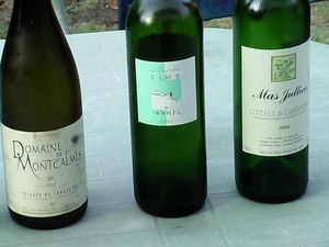 dégustation des languedocs 014