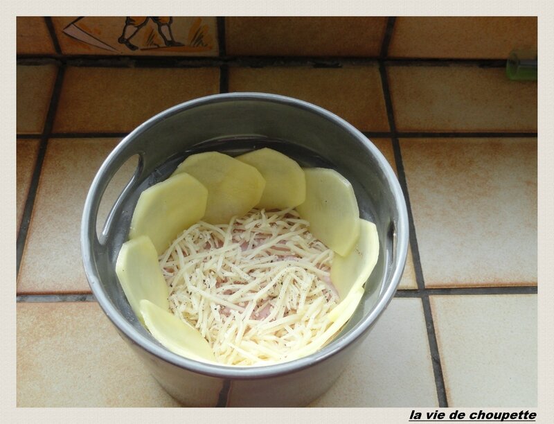 gateau de pommes de terre-9560