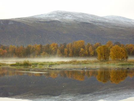25_09_08_Brume__8_