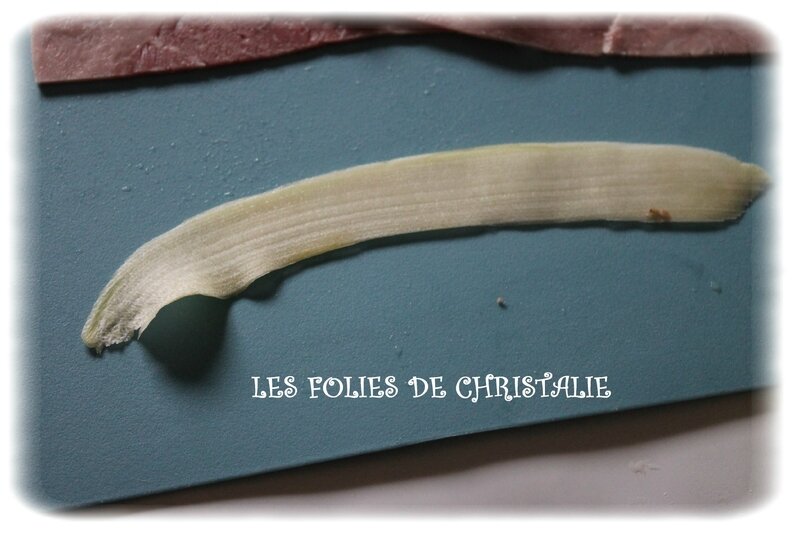 Tarte spirale 5