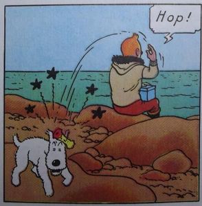 Tintin pollue