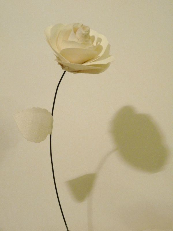 Rose de papier