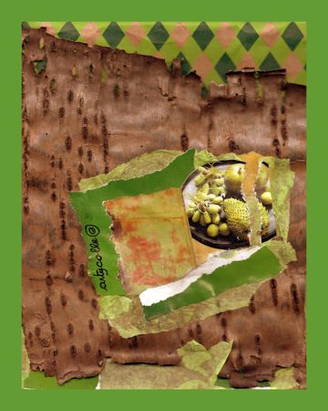 Arbres_et__corces1