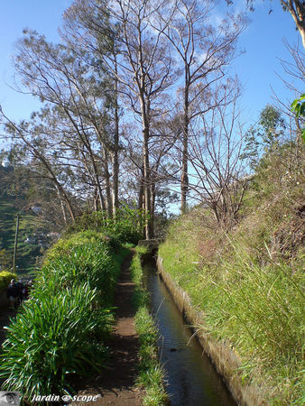 9004_Levada_do_Norte