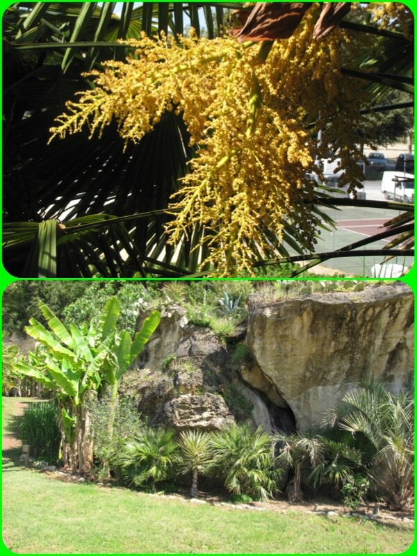 jardin4