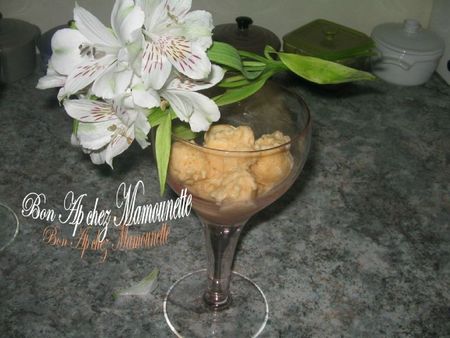 Glace au melon du jardin au mascarpone 011