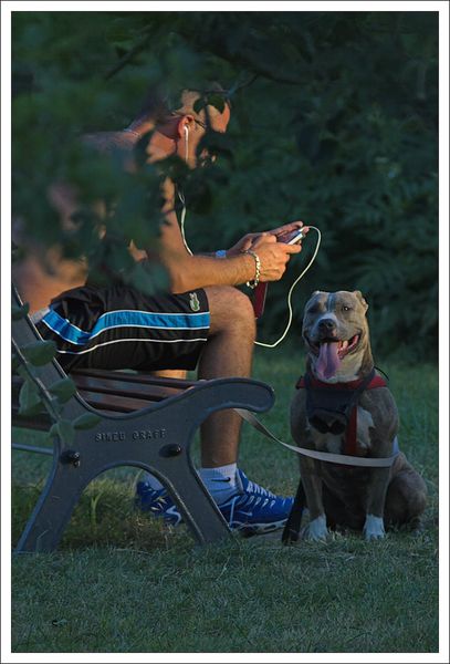 ville lulu jeune banc chien soir 030913