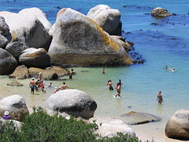 270px_Swimmers_at_Boulders_Beach__Cape_Town