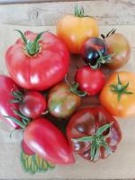 tomates mélange
