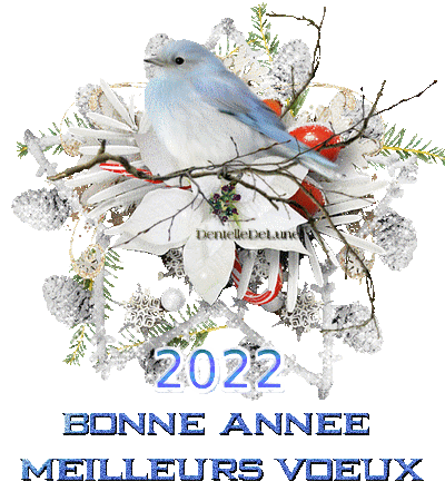 image_0946180_20211230_ob_707048_gif-scintillant-bonne-annee-meilleu