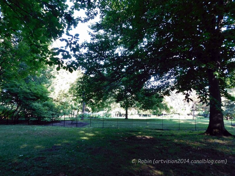 Bois-de-Coulonge-Arboretum-03