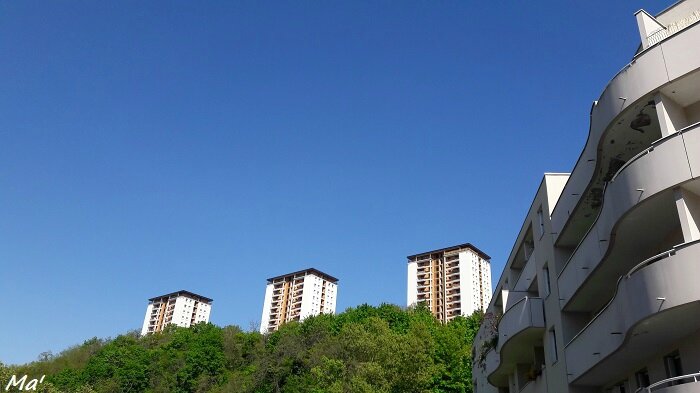 160429_lyon_observance