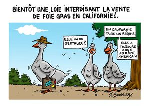 foie gras web