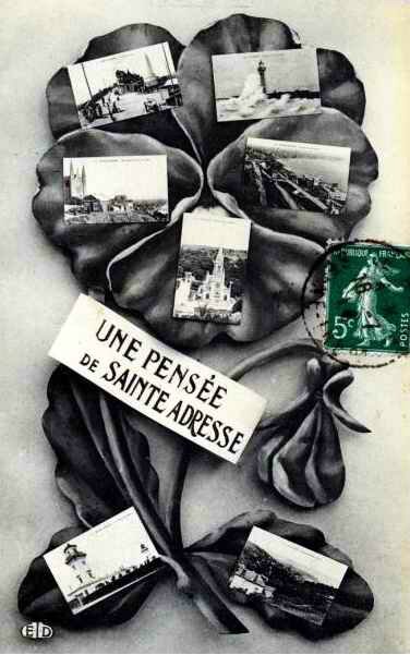 Pensée de St Adresse