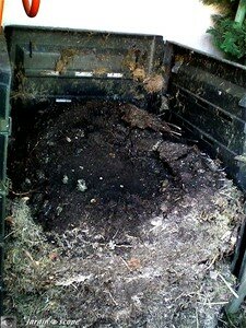 Tas_compost_decompose