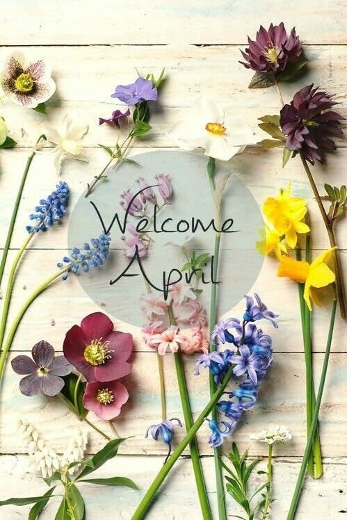 Welcome-April