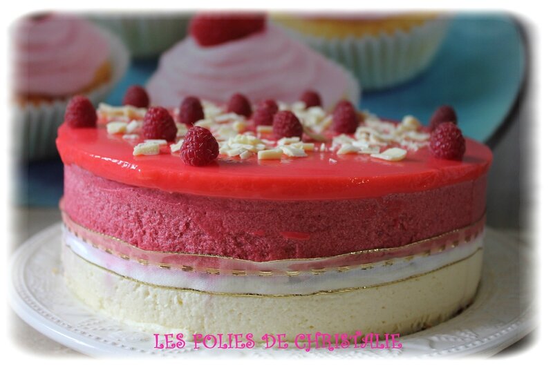 Bavarois choc framboises 24