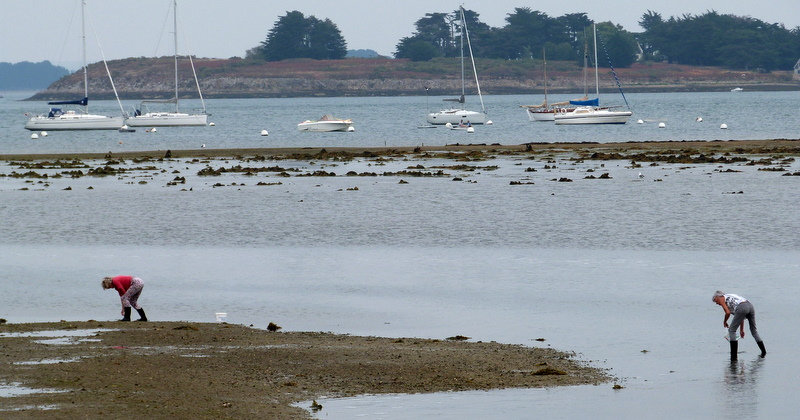 P1870253-1